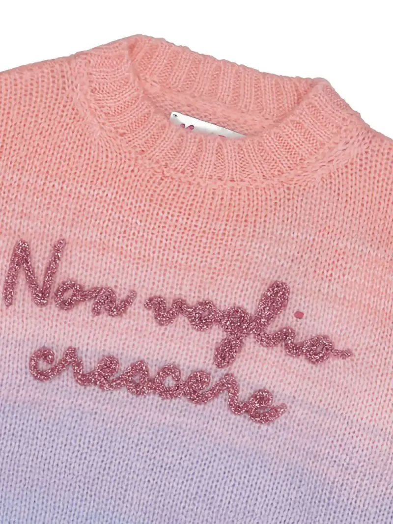 Maglione con Ricamo Effetto Sfumato Multicolor miniatura 3