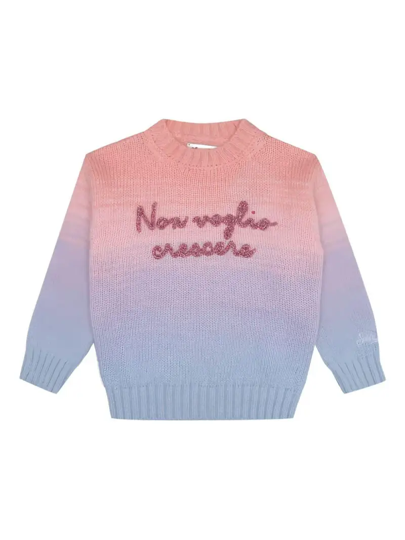 Maglione con Ricamo Effetto Sfumato Multicolor