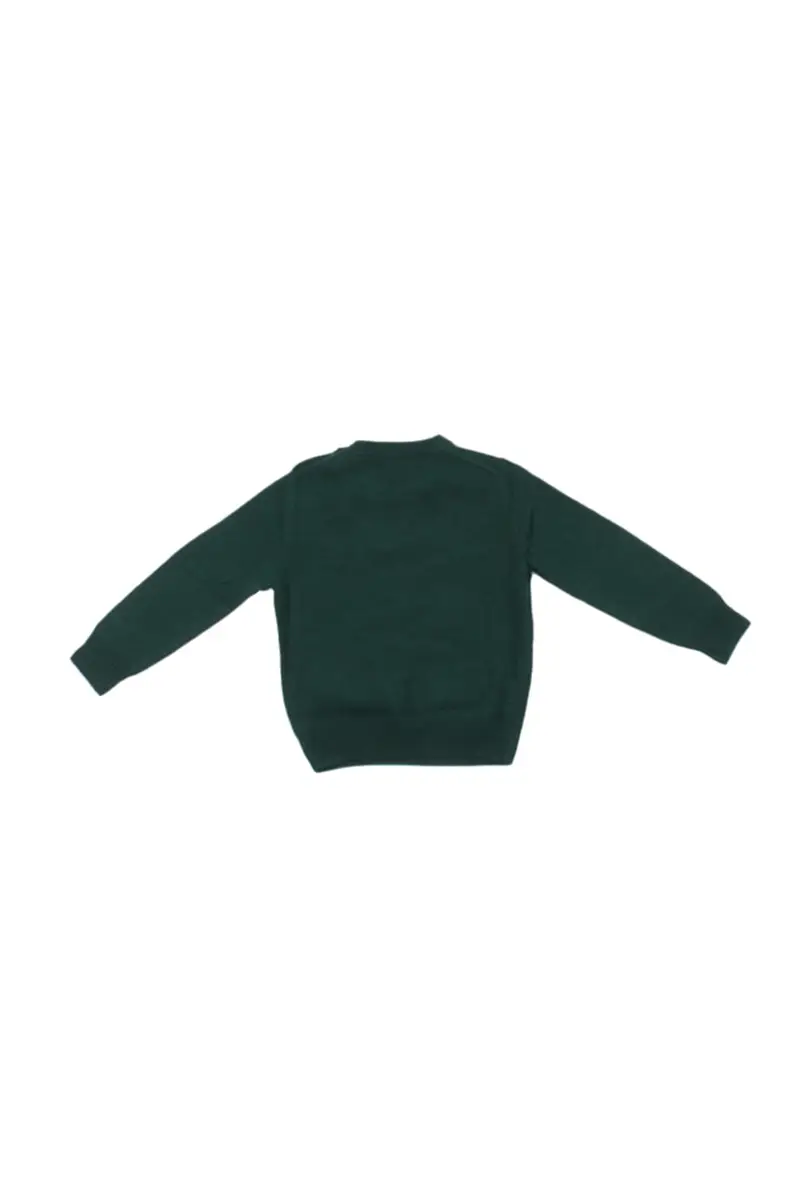 Maglia Bambino MC2 SAINT BARTH Green Douglas sb express patch miniatura 2