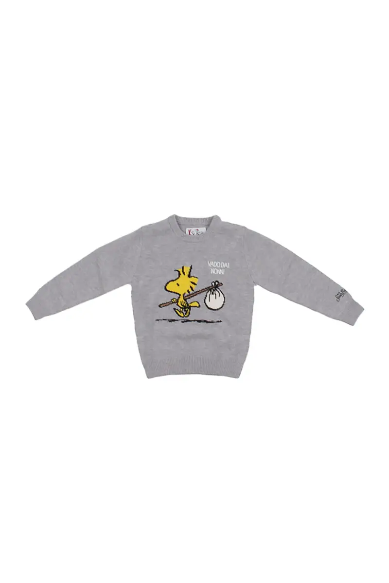 Maglia Bambino MC2 SAINT BARTH Grigio Douglas woodstock vado