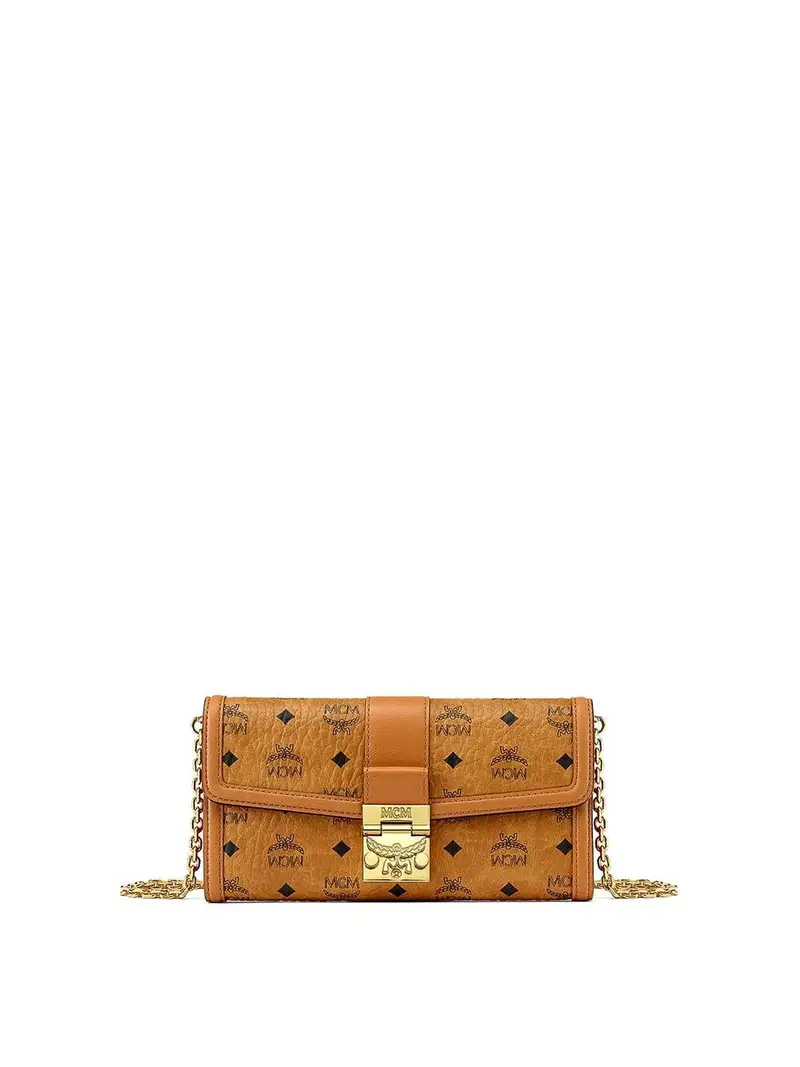 Portafoglio Sulla Catena Marrone