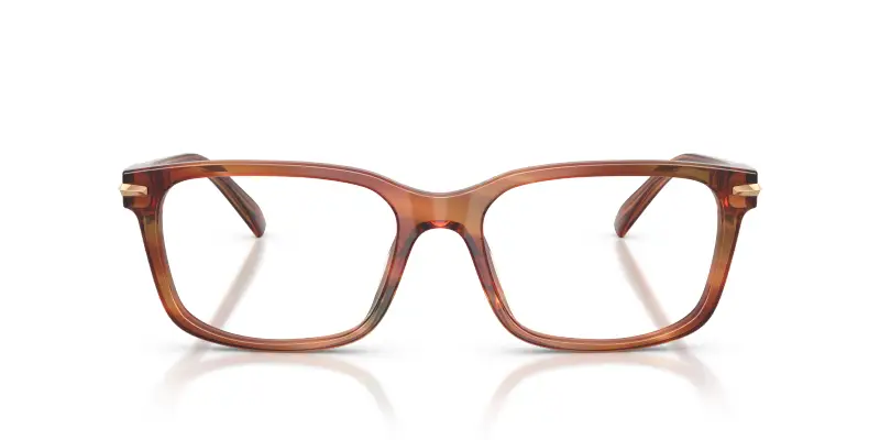 Uomo Michael Kors MK4188U SEAL HARBOR 4039 Montature da vista Acetato Marrone Trasparente Squadrata Normale miniatura 3