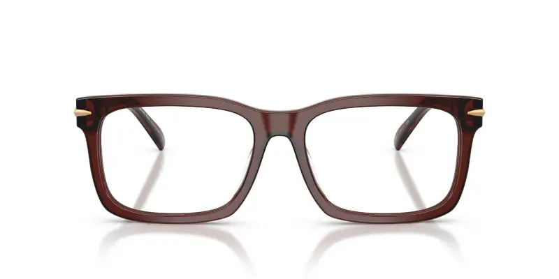 Uomo MK4177U OTTAWA 3401 Montature da vista Acetato Marrone Trasparente Squadrata Normale miniatura 3