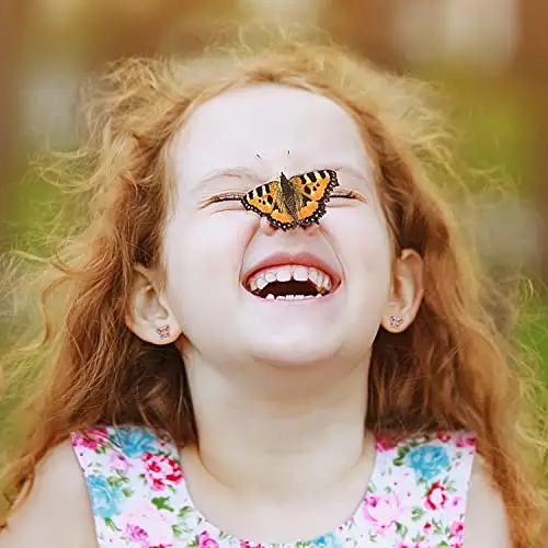 Micory Orecchin Farfalla Donna Argento Sterling 925 Orecchin Anallergici con Cofanetto Regalo miniatura 2