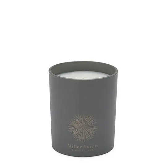 Infusion de The Candela