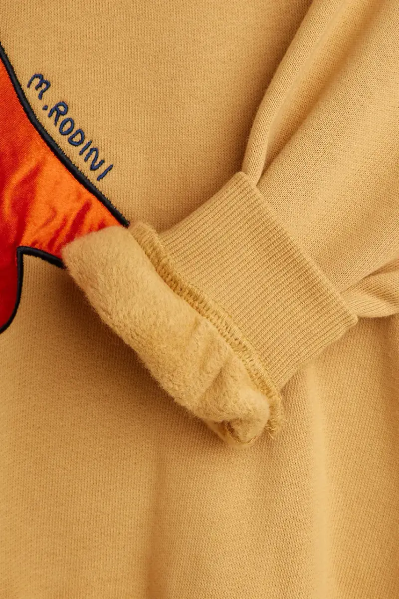 felpa in cotone bambino/a Dino colore marrone 25720133 miniatura 5