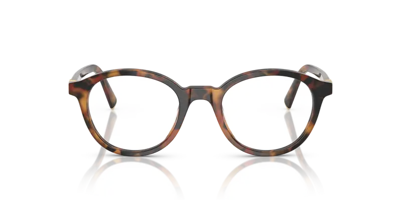 Miu Miu Donna MU 02WV 19P1O1 Montature da vista Acetato Tartaruga Trasparente Rotonda Normale miniatura 2