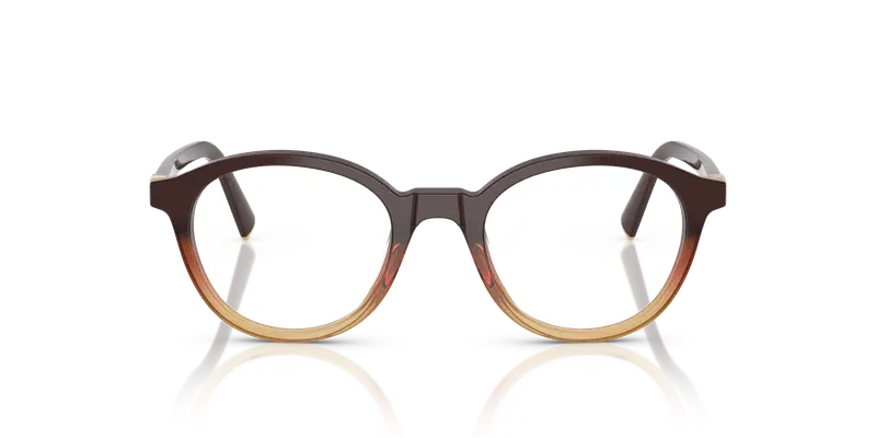 Miu Miu Donna MU 02WV 24C1O1 Montature da vista Acetato Marrone Trasparente Rotonda Normale miniatura 2