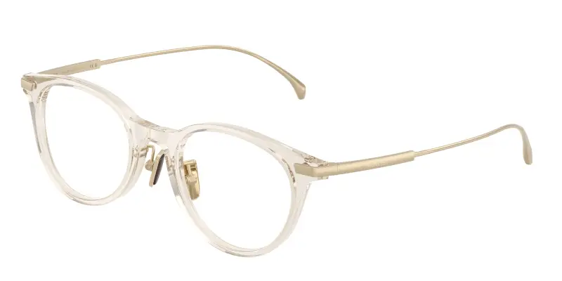 Unisex Moncler ME2022D 3003 Montature da vista Acetato Marrone Trasparente Rotonda Normale