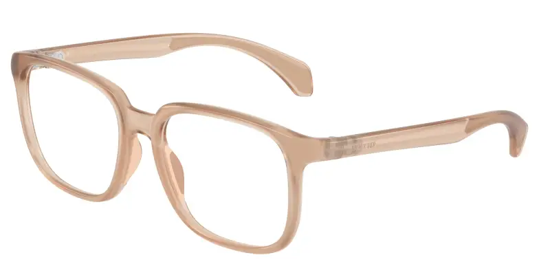 Unisex Moncler ME3003 5011 Montature da vista Iniettato Beige Trasparente Squadrata Normale