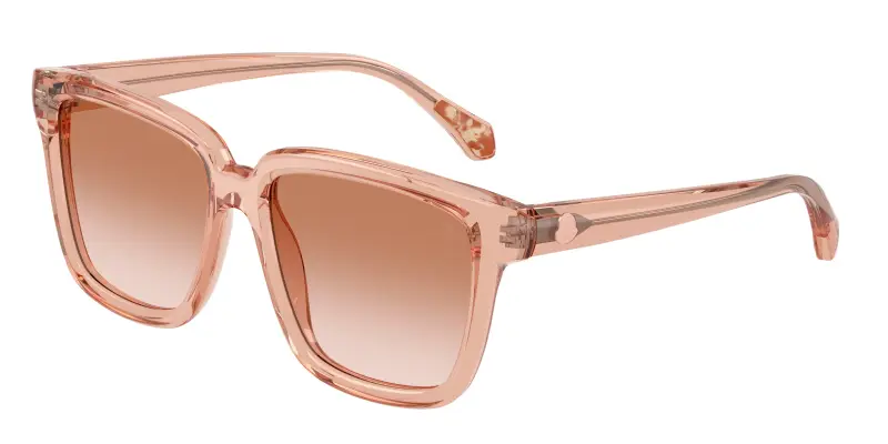 Unisex Moncler ME6026 CLASICO 304513 Occhiali da sole Acetato Rosa Marrone Pillow Normale Sfumato