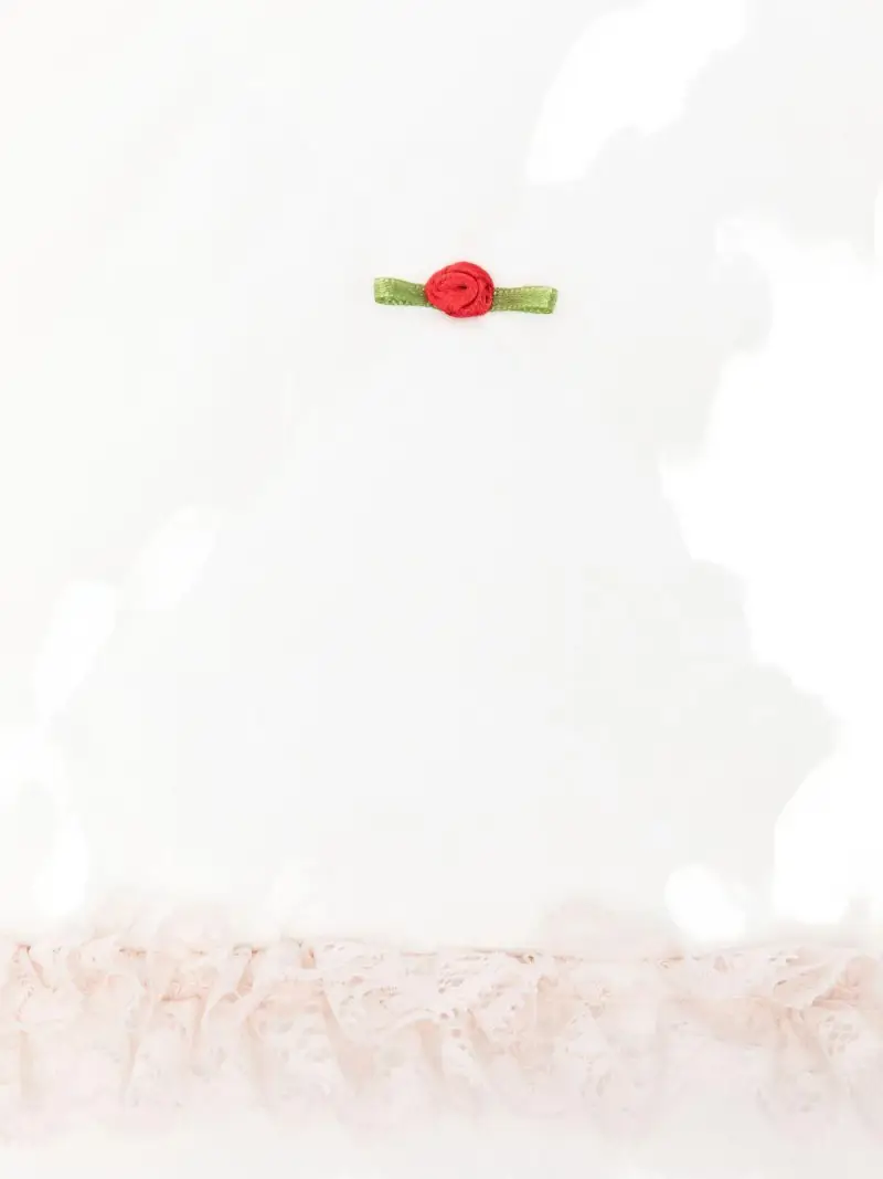 Coperta bianca in cotone biologico con bordo in pizzo Bianco miniatura 2