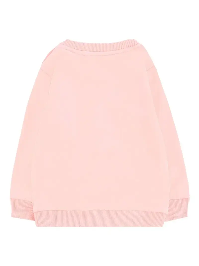 Felpa rosa con fiocco Teddy Bear miniatura 2