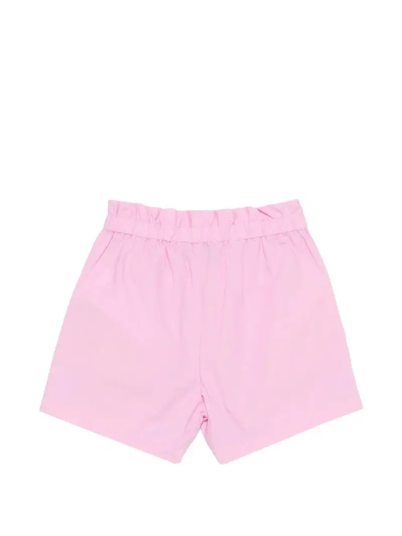 MDQ00FLLA1051473 Rosa miniatura 2