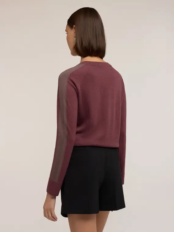 Maglia scollo a V in misto seta Donna, Bordeaux miniatura 2