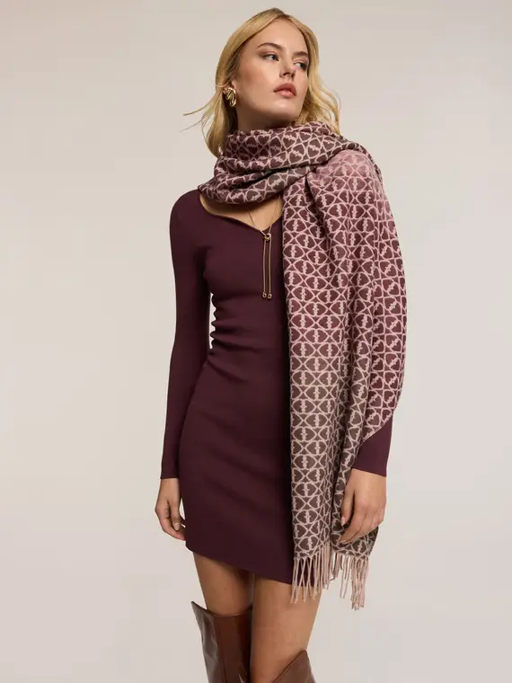 Sciarpa jacquard lunga con frange Donna, Bordeaux