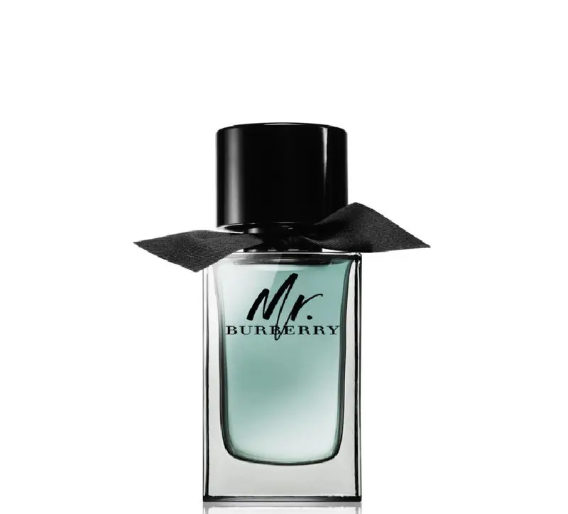 MR burberry edt