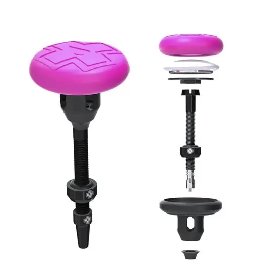 Tubeless Secure Tag Mount - valvola per gps tracker Pink