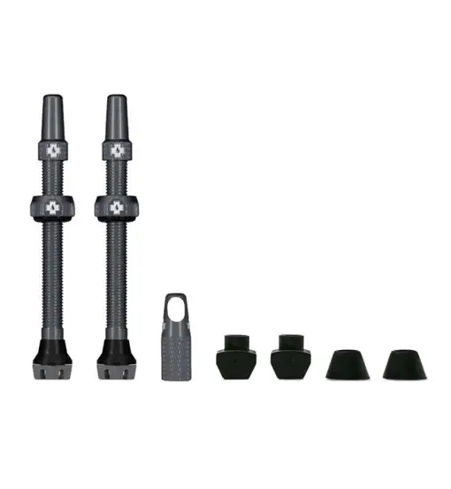 Tubeless Valves 60mm - valvole tubeless Grey
