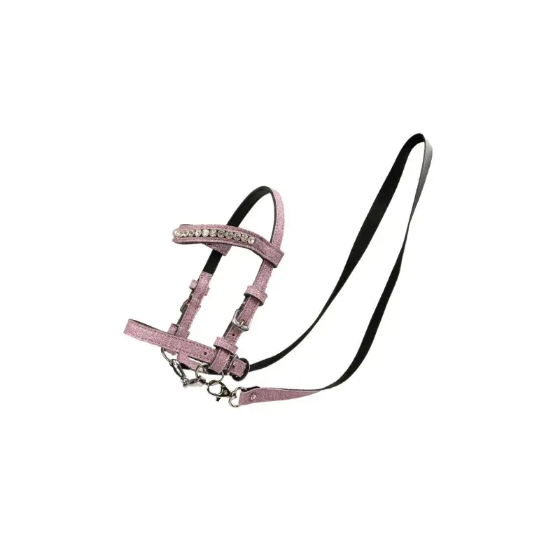 Testa per Hobby Horse My Hobby Horse