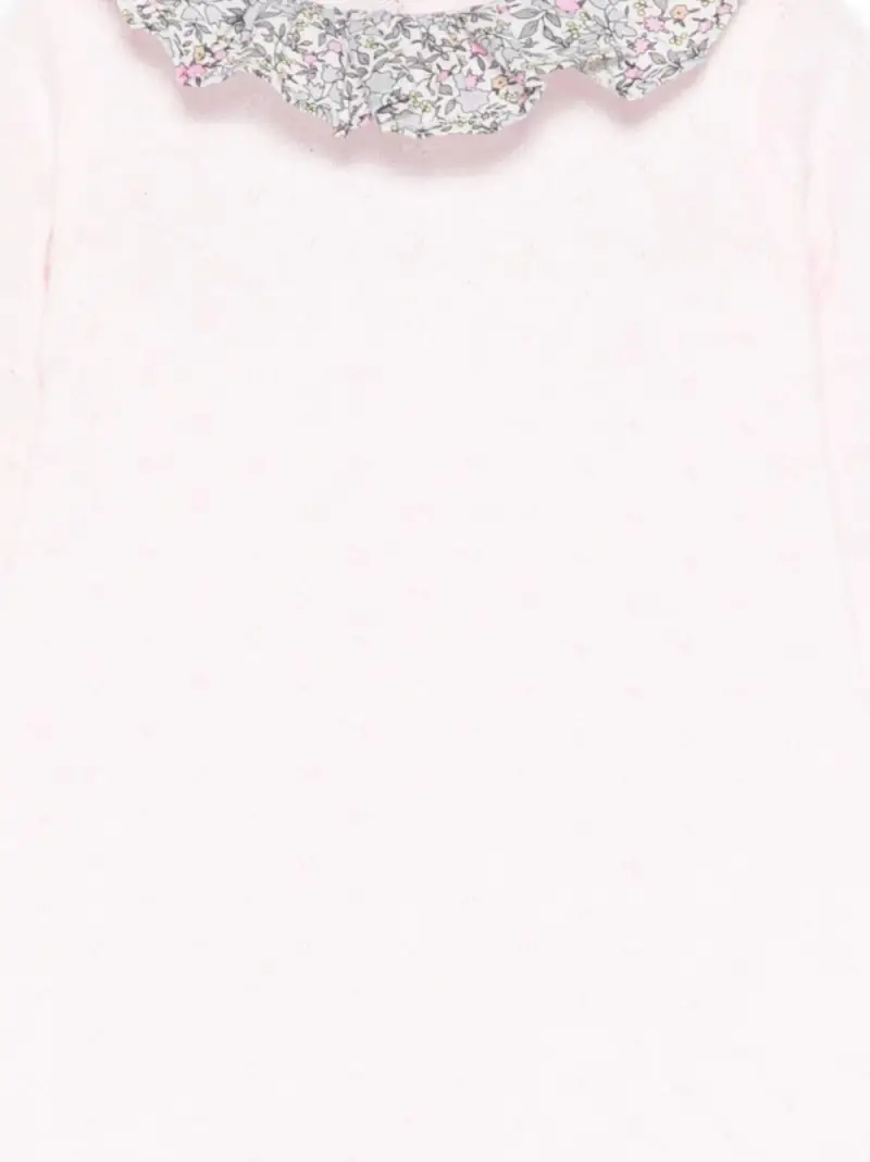 E26435ROSA Rosa miniatura 2