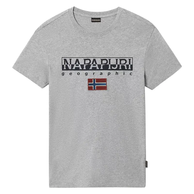 Napapijri T-shirt Uomo Grigio 4169852