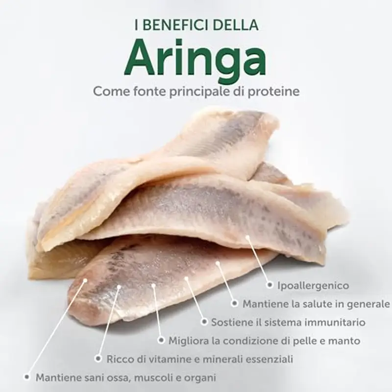 Nature's Protection Superior Care Crocchette Cani all’Aringa Senza Cereali e Ipoallergenico - Cibo per Cani Adulti di Piccola Taglia dal Pelo Bianco - Con Omega 3 e 6 - Pelle e Pelo Sani (1, 5 kg) miniatura 3