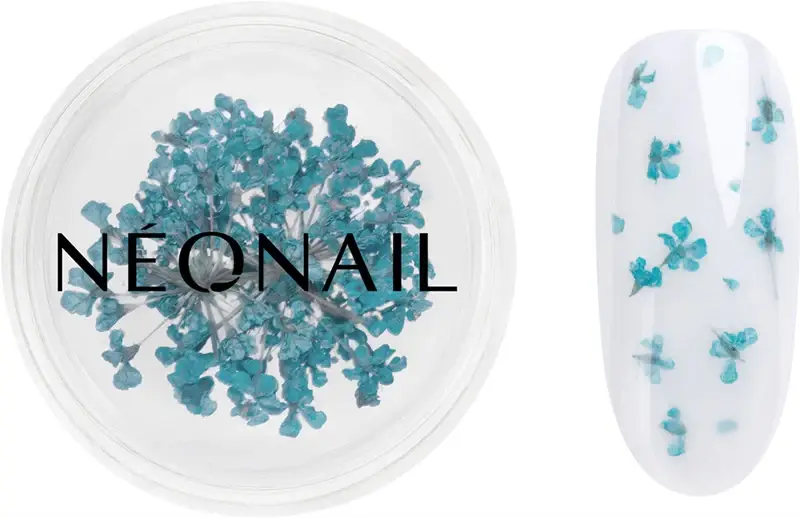 Dried Flowers fiore secco per le unghie colore 05 Turquoise