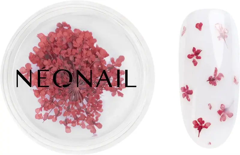 Dried Flowers fiore secco per le unghie colore 08 Red