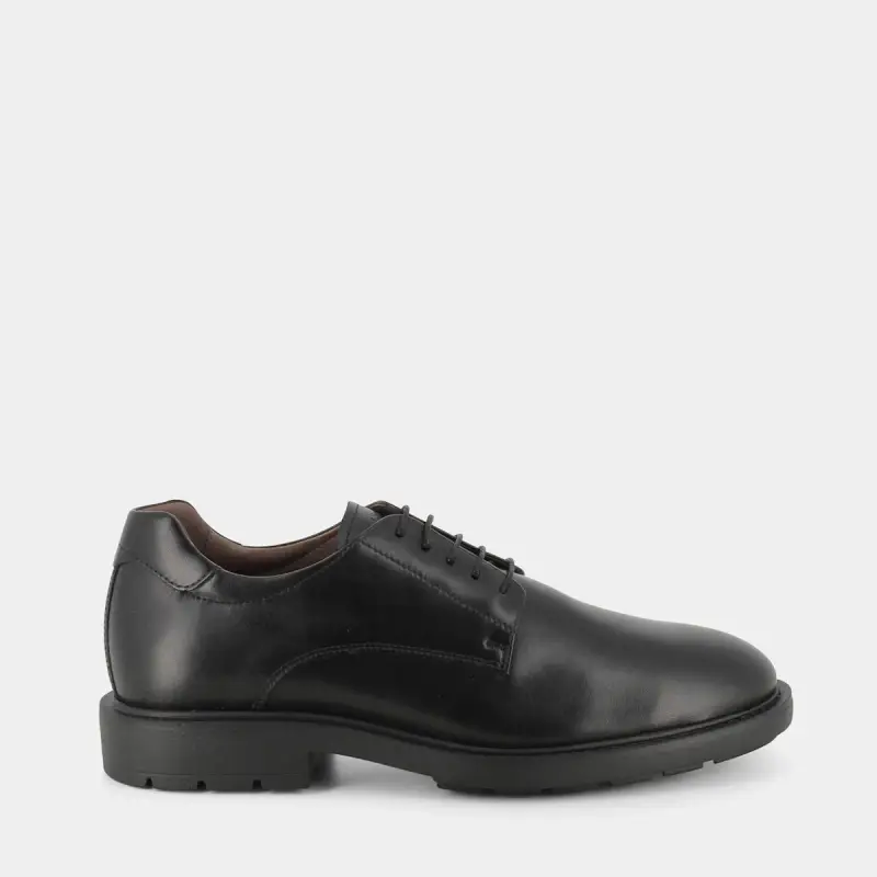 Stringate Nero Giardini da Uomo, nero