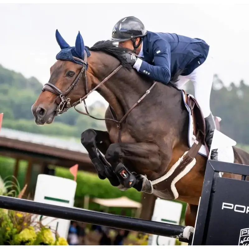 Guanti da equitazione da donna NGB Sport