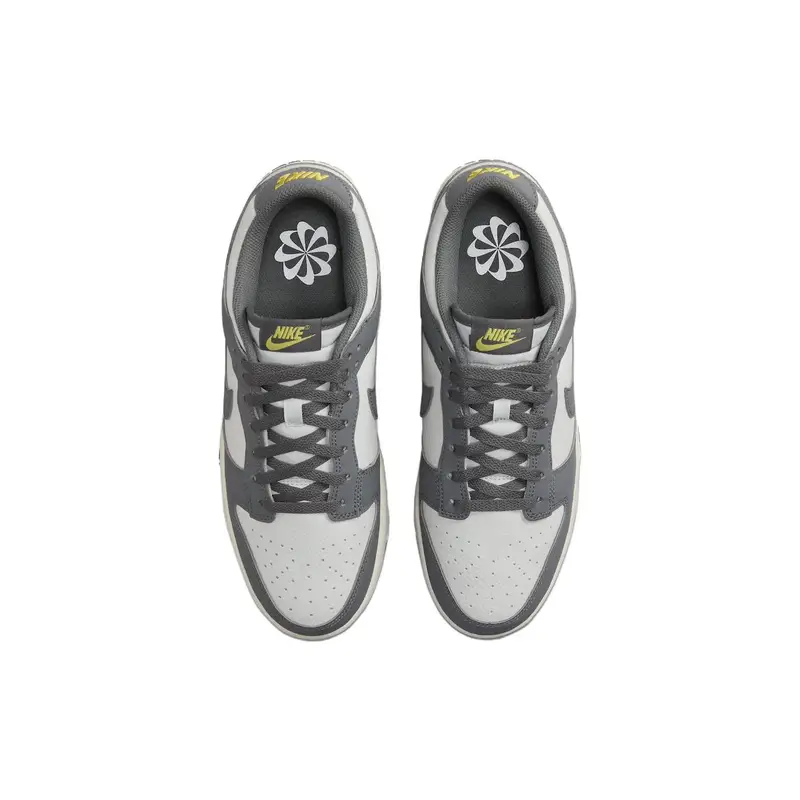 Dunk Low Next Nature Iron Grey Lightning Sneakers da Uomo Cocco-Latte Polvere di Fotoni FZ4621-001 40 5 miniatura 4