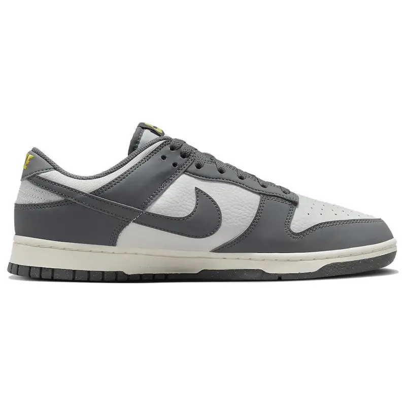 Dunk Low Next Nature Iron Grey Lightning Sneakers da Uomo Cocco-Latte Polvere di Fotoni FZ4621-001 40 miniatura 5