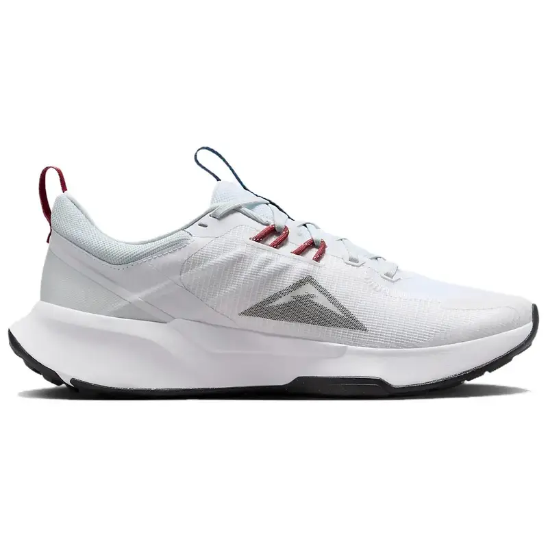 Nike Scarpe da ginnastica Uomo Platino 4319660 miniatura 2