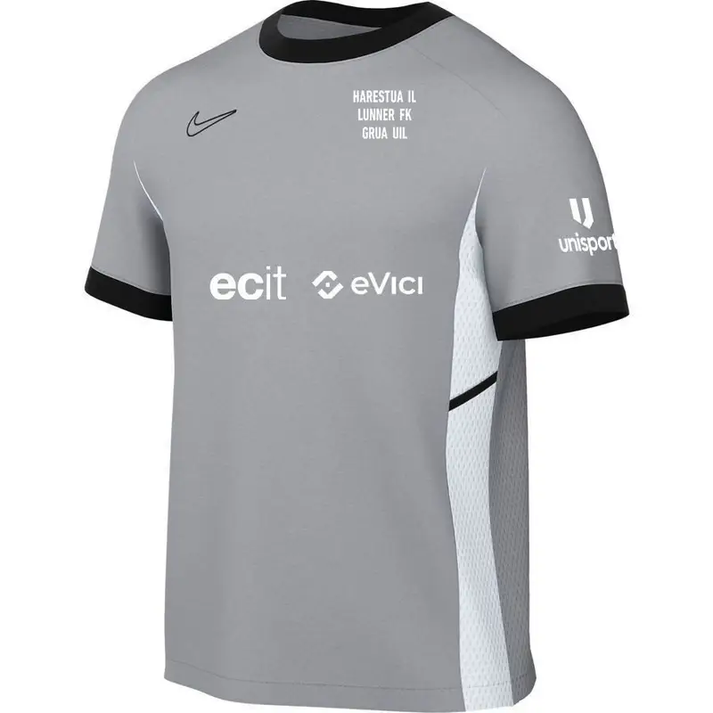 Maglia Nike Dri-FIT Academy 25 Gris