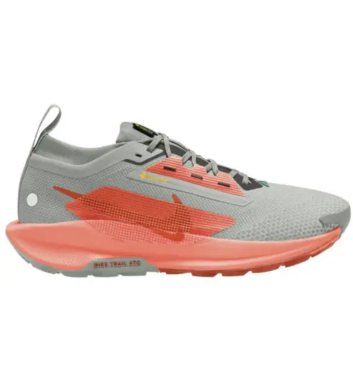 Nike Scarpe trail running Uomo Grigio 2482560