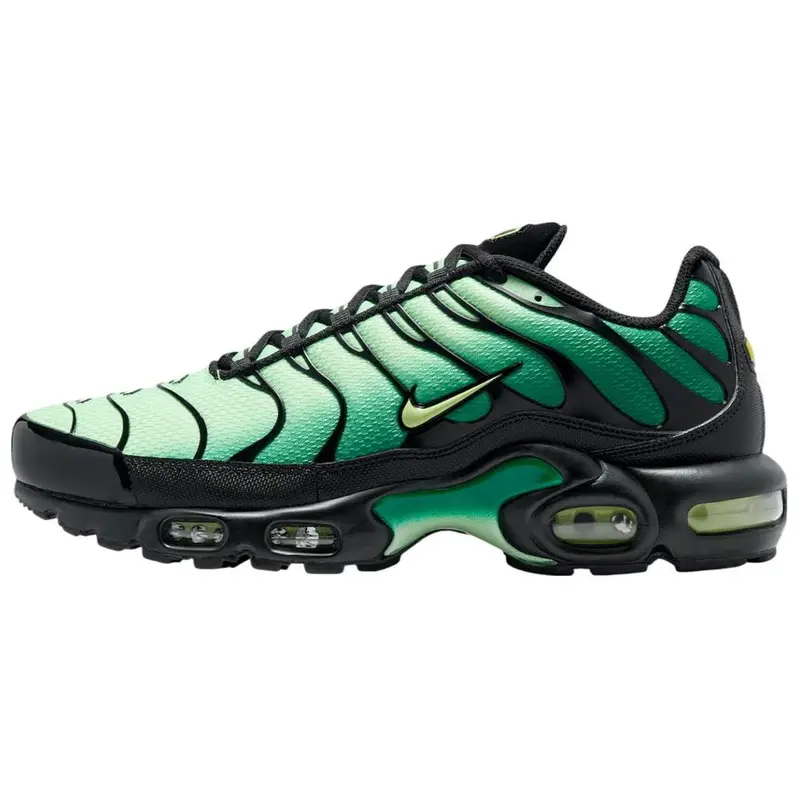 Scarpe casual unisex Nike Air Max Plus Vapor Green Gradient DM0032-301 EU 40