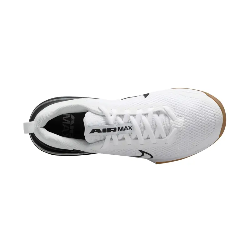 Scarpe cross training Nike Alpha Trainer 6 Blanc