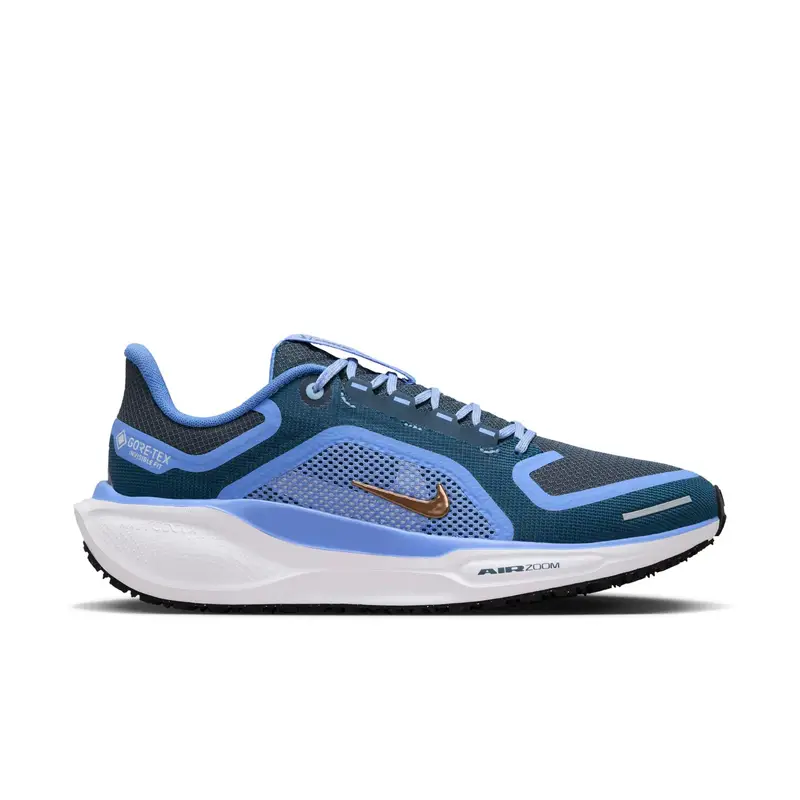 Scarpe running da donna Nike Pegasus 41 Gore-tex Bleu