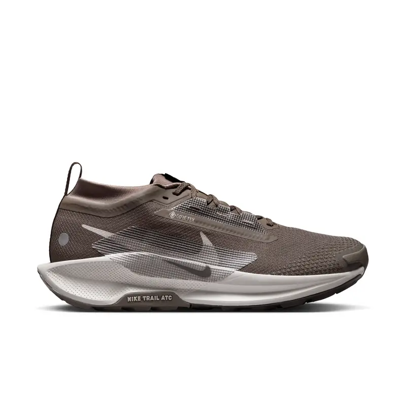 Scarpe running Nike Pegasus Trail GORE-TEX Gris