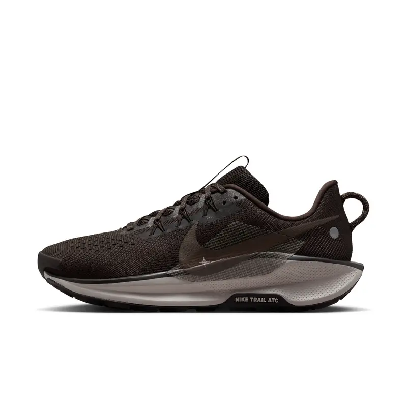 Scarpe running Nike Pegasus Trail Marron