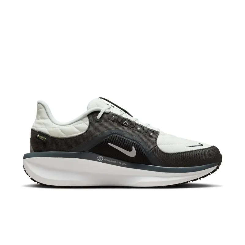 Scarpe running Nike Winflo 11 Gore-Tex Gris
