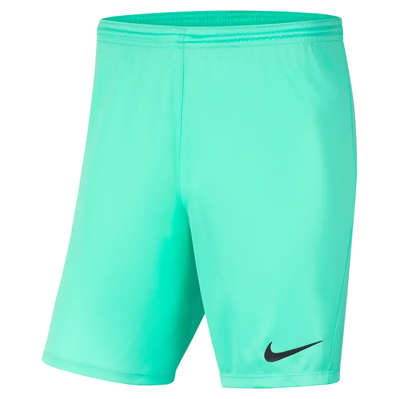 Shorts Nike Dri-FIT Park III Turquoise