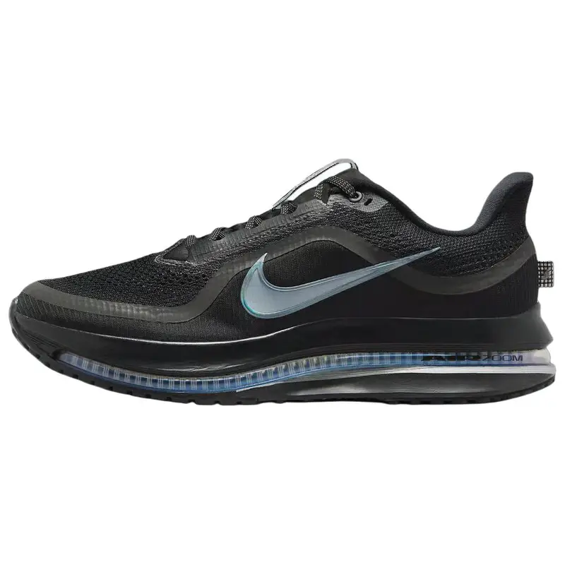 Sneakers da uomo Nike Pegasus Premium Nero Argento Metallizzato HQ2592-005 44