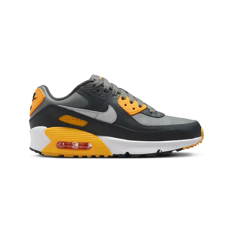 Sneakers Nike Air Max 90 Gris