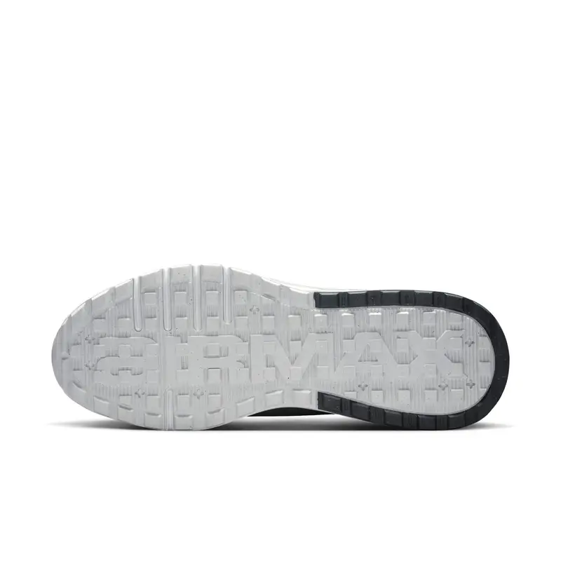 Sneakers Nike Max Bia Gris