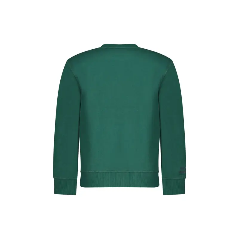 Felpa Bambino Verde Girocollo Felpata Logo miniatura 2