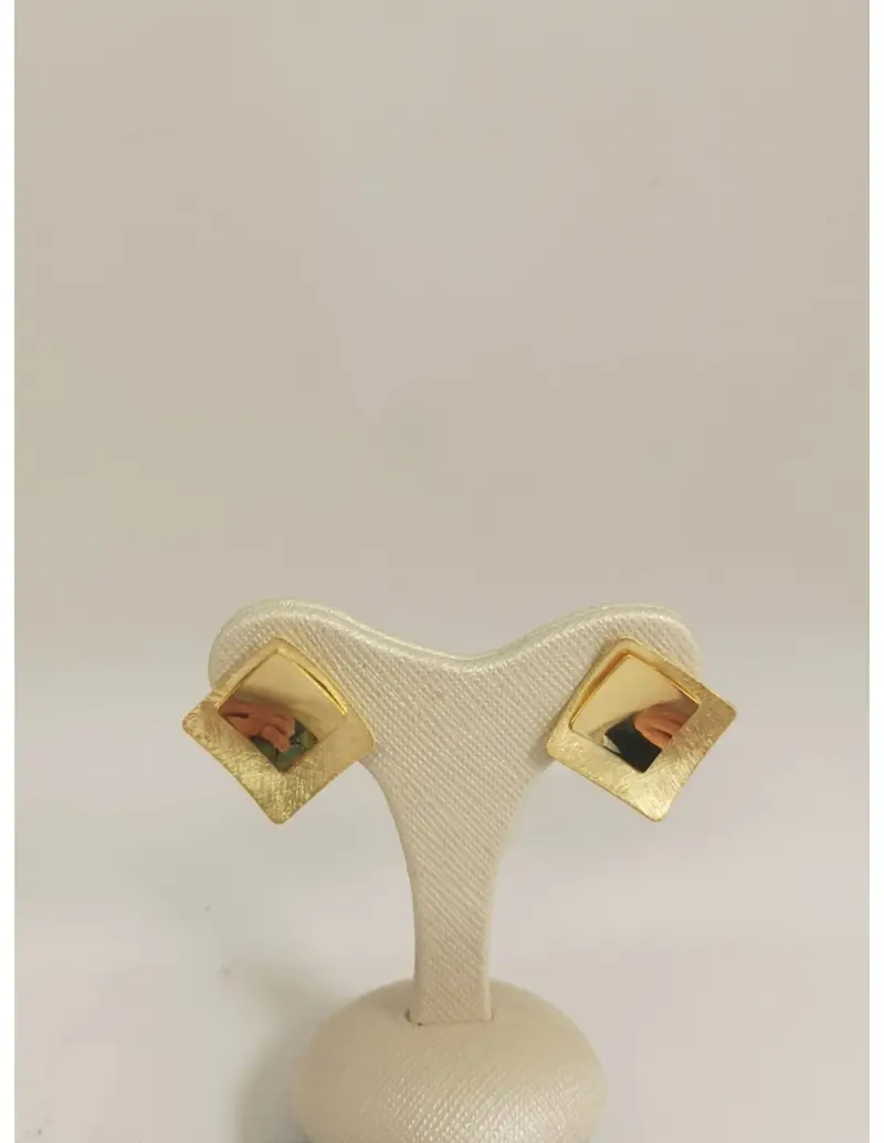 Orecchini in argento placcati oro giallo LEAVES-SQ AU