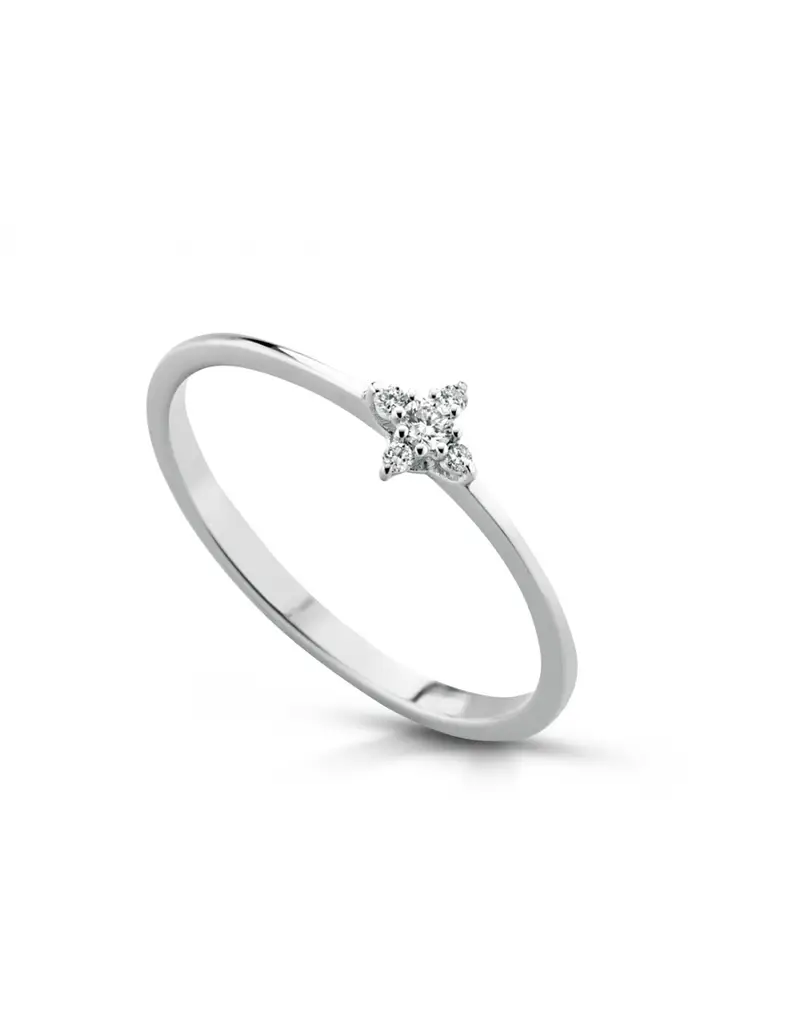 Anello in oro bianco 18Kt con diamanti naturali C-ANTIP/3