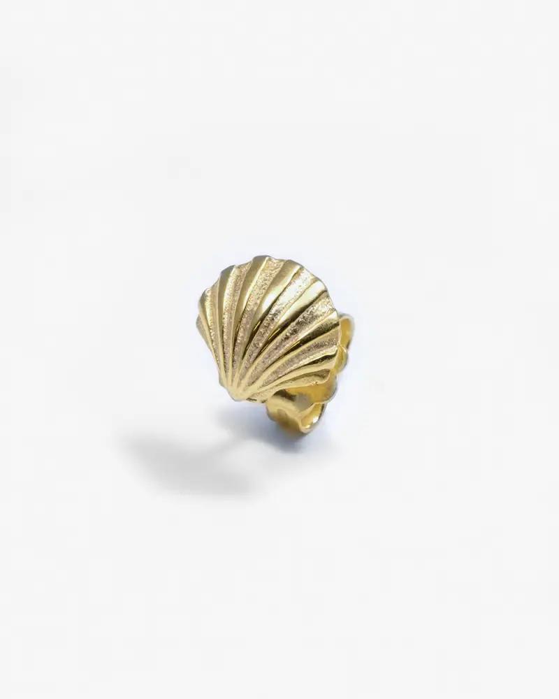 Orecchino A Lobo Conchiglia Venus Lucido